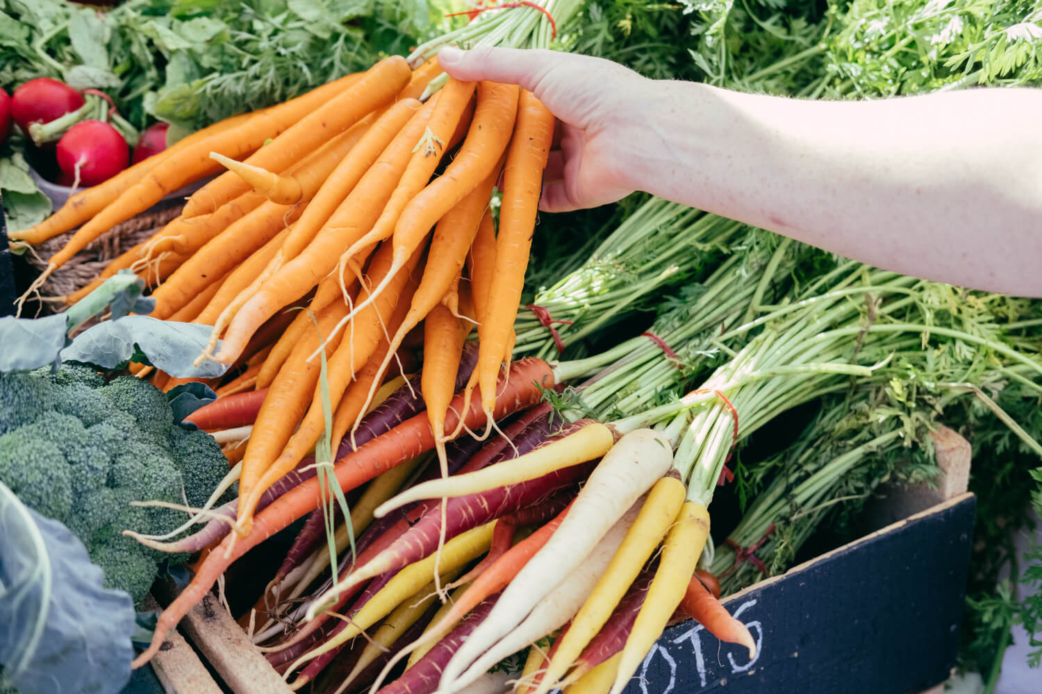 Bunch of carrots in a market display